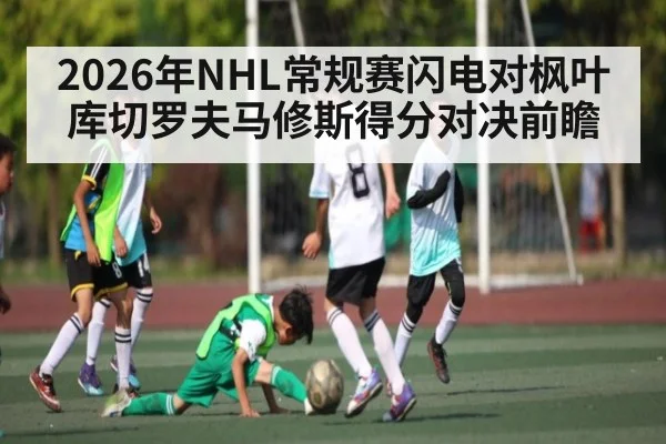 2026年NHL常规赛闪电对枫叶库切罗夫马修斯得分对决前瞻 | kaiyun